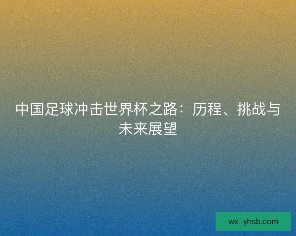 中国足球冲击世界杯之路：历程、挑战与未来展望